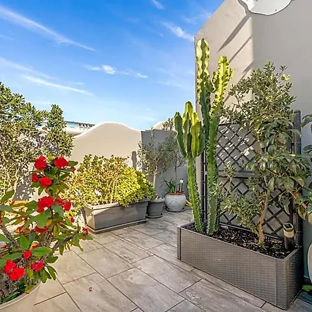 Oasis